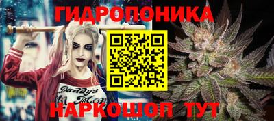 спайс Дубна