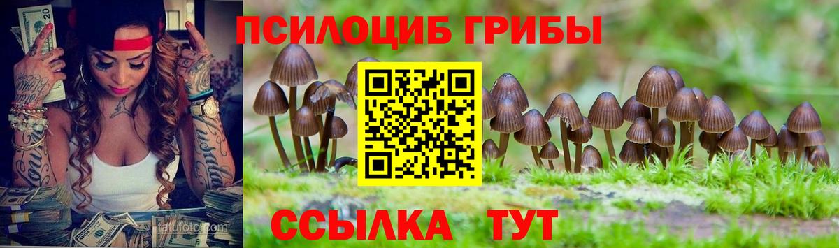 Псилоцибиновые грибы Psilocybe  Вход с VPN  Ливны 
